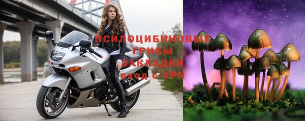 не бодяженный Алексин