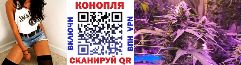 закладки  Хвалынск  Бошки Шишки планчик 